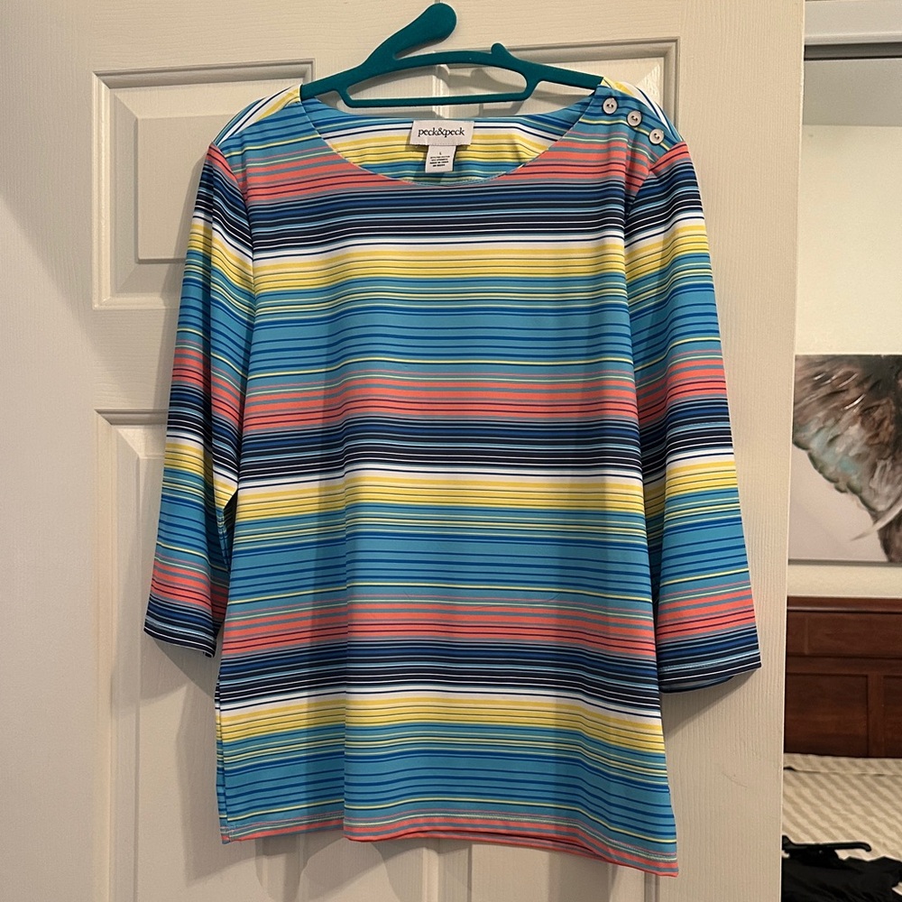 Peck & Peck Blue Multicolor Striped Blouse